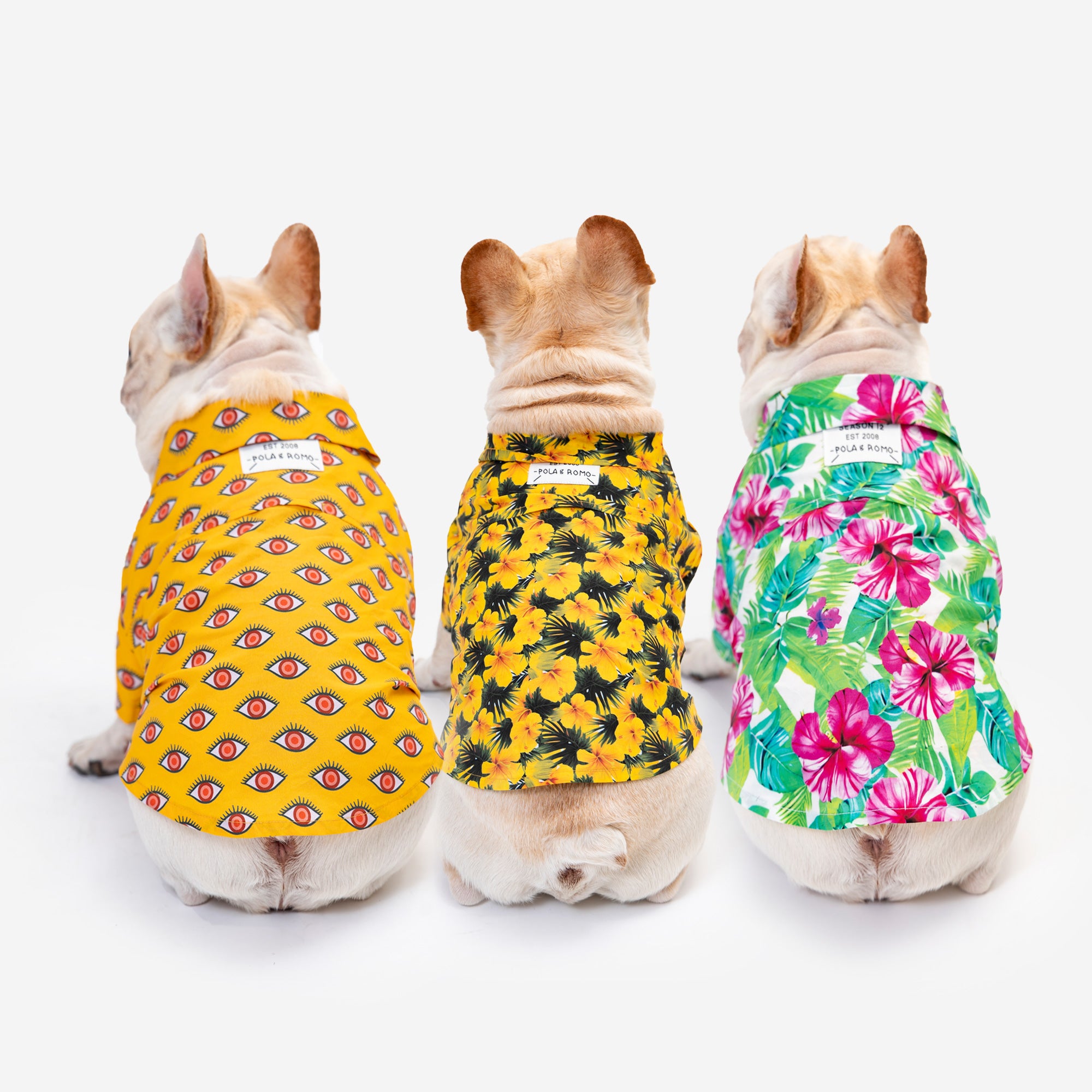 Summer Dog Shirt 3 Pack