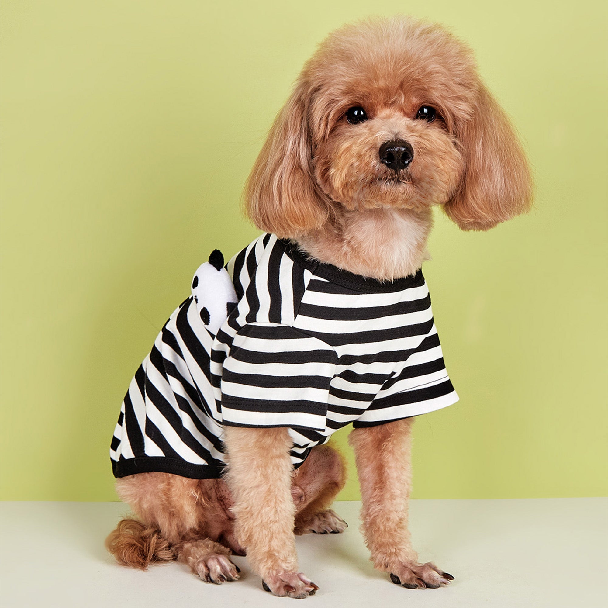 Pupwonders | Striped Dog T-shirt,Black