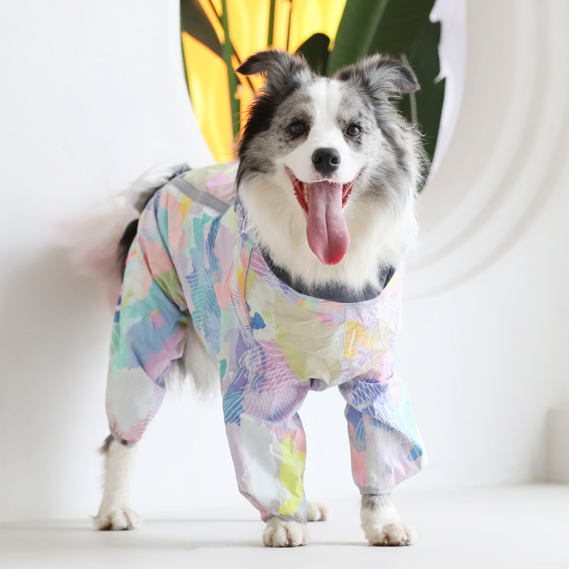 Corgiology| Rainbow Pop Dog Raincoat,Rainbow