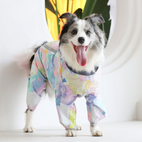 Corgiology| Rainbow Pop Dog Raincoat,Rainbow