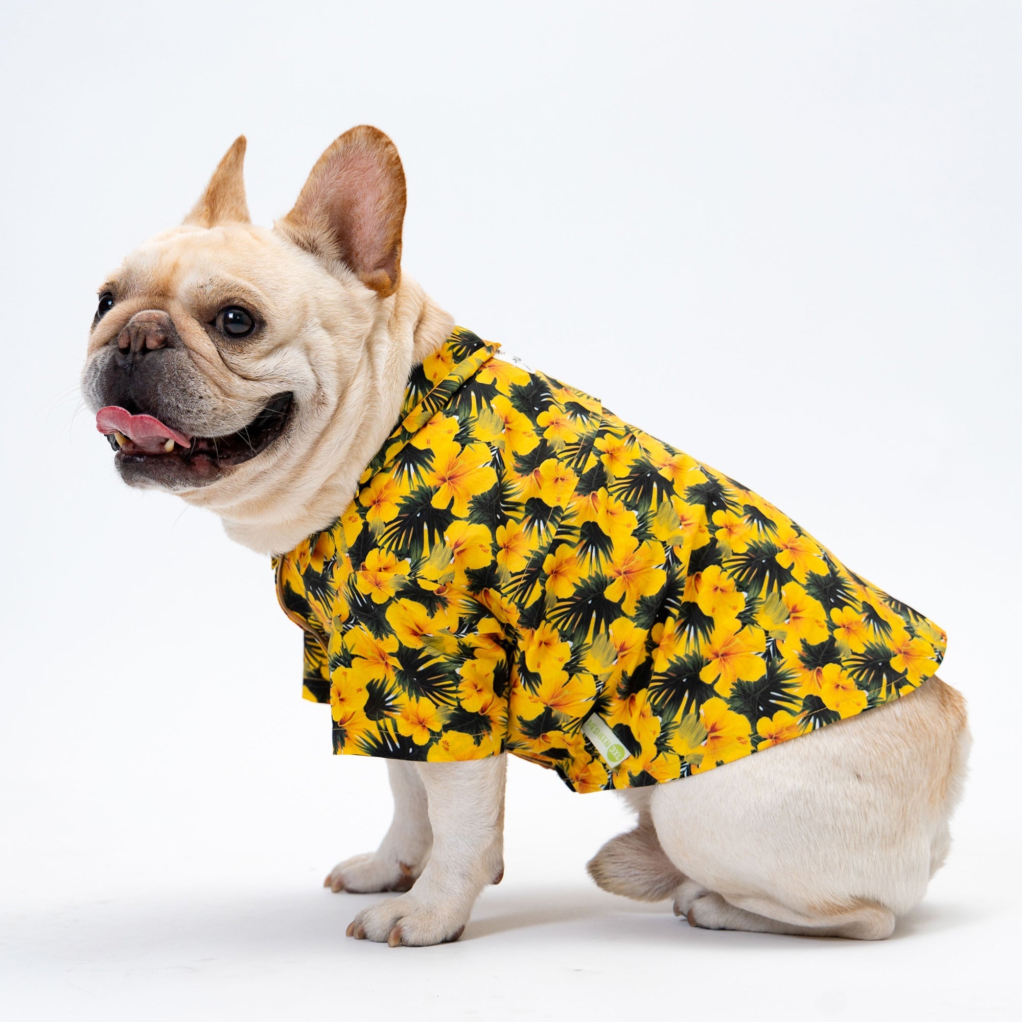 Summer Flower Button Up Dog Shirt