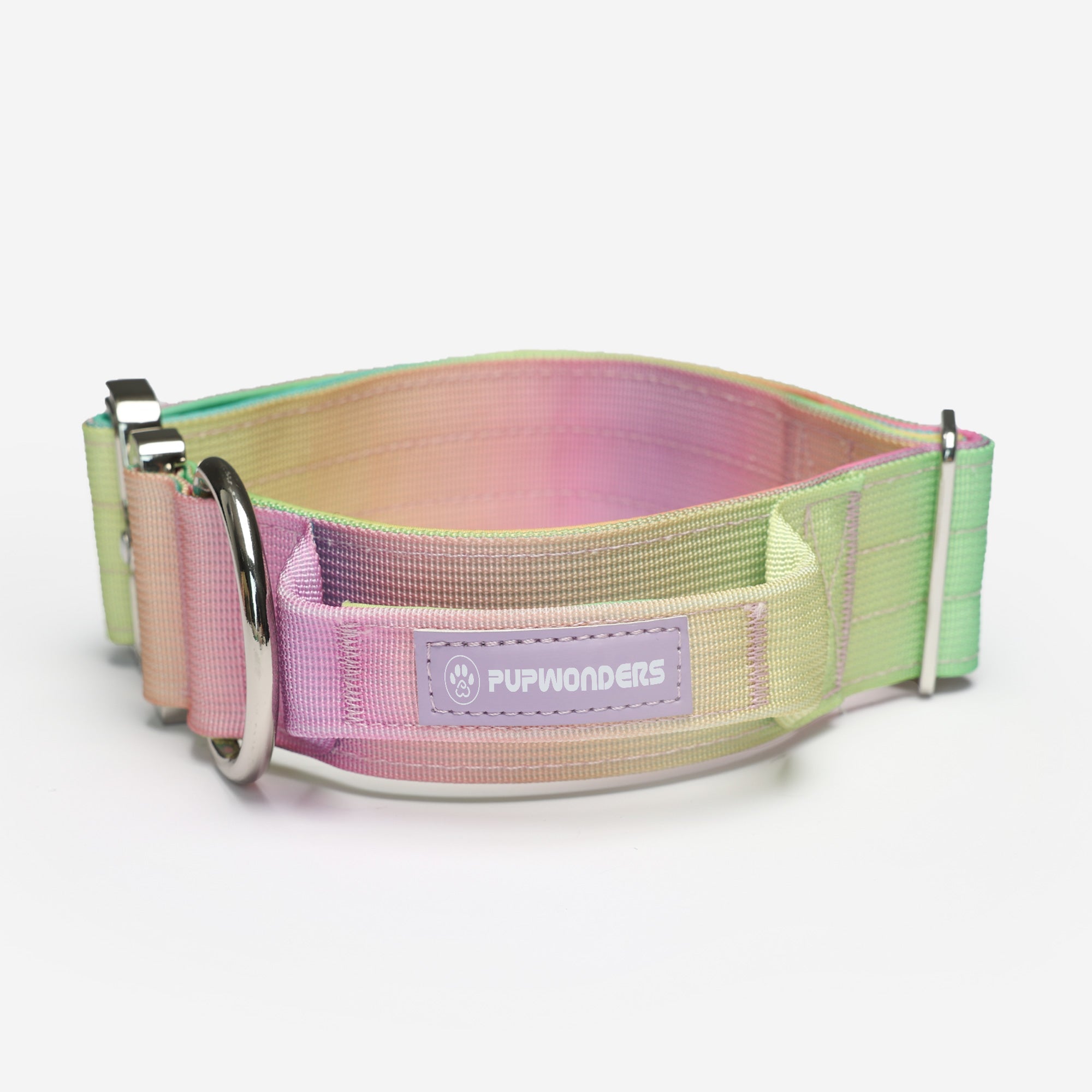 Complete Control Dog Collar - Candy