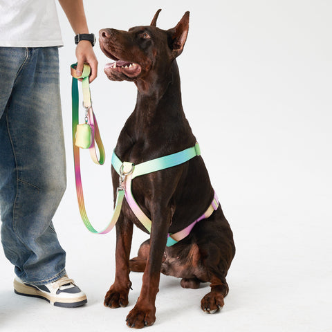 Complete Control Dog Harness - Candy,Candy