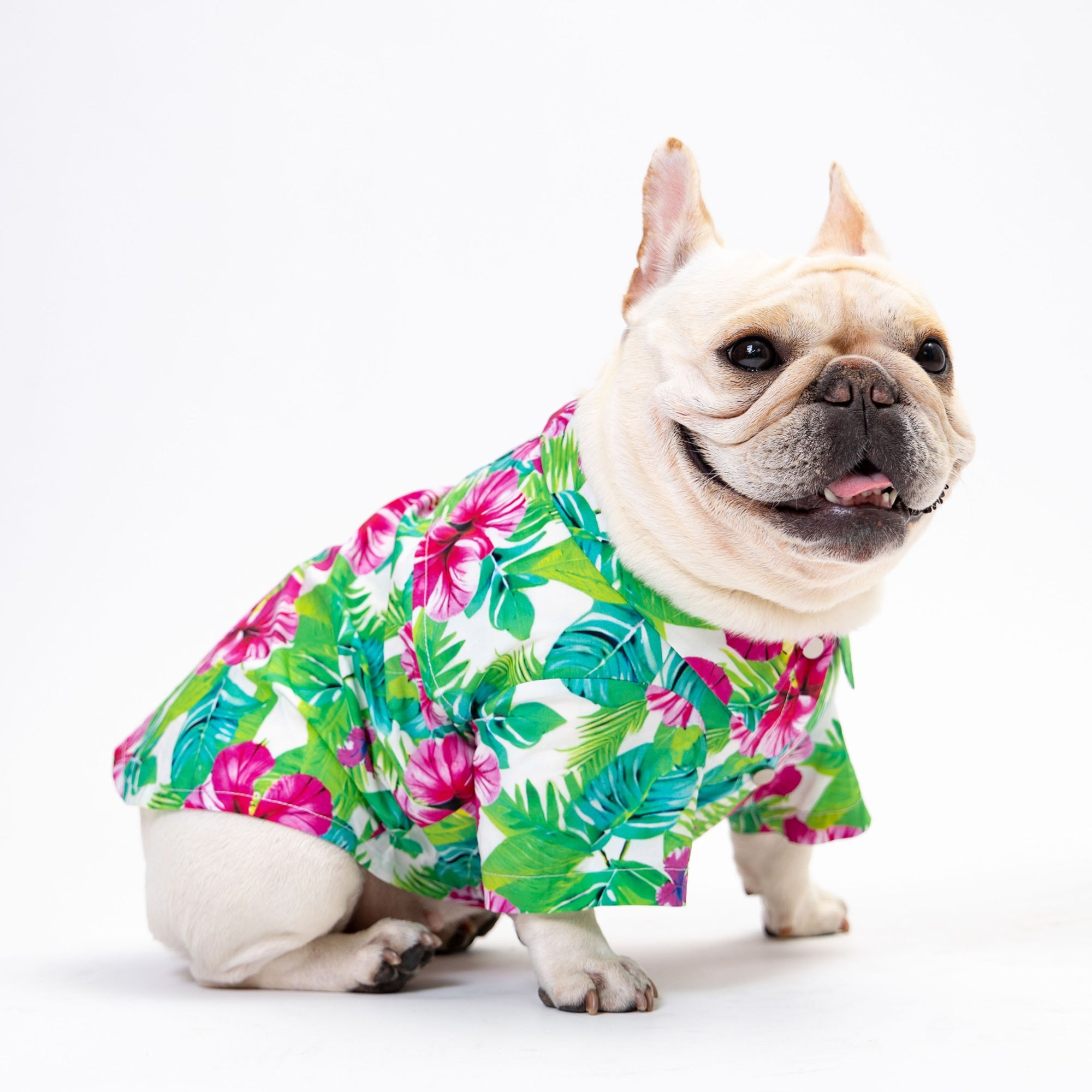 Tropical Breeze Floral Dog Shirt