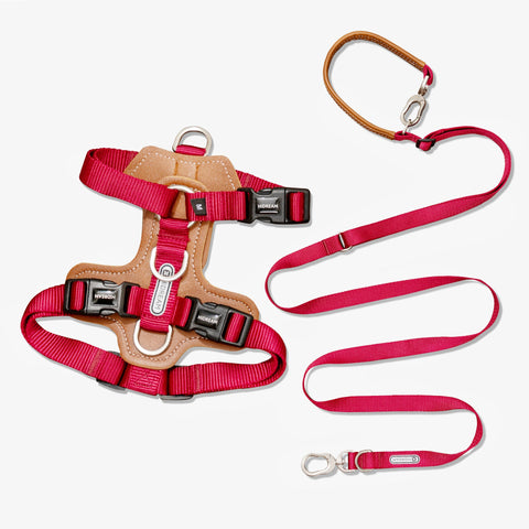 HiDream | Easy Walk Dog Harness & Leash Kit