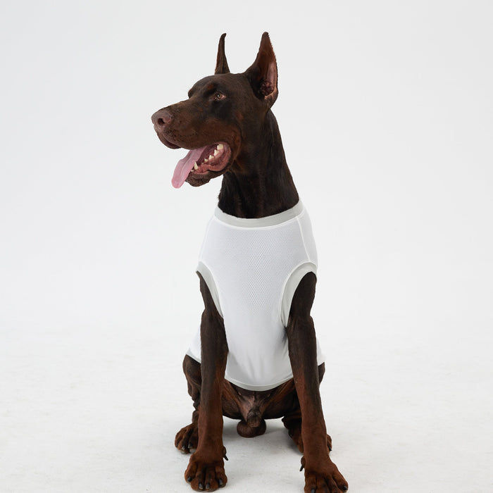 Elastic Ultrathin Dog Cooling T-Shirt 3 Pack