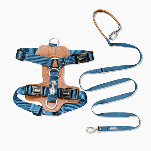 HiDream | Easy Walk Dog Harness & Leash Kit