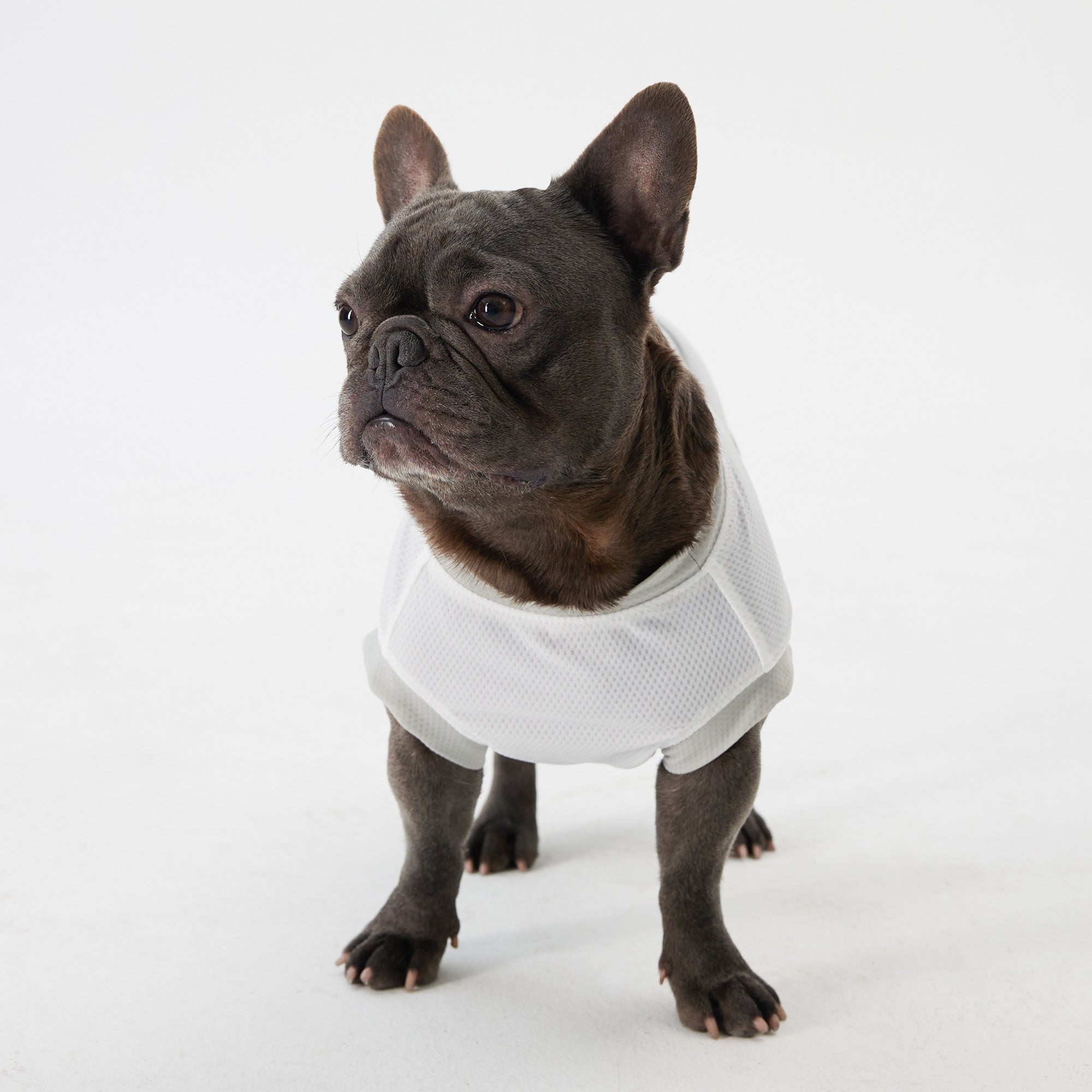 Dog Cooling Vest - White