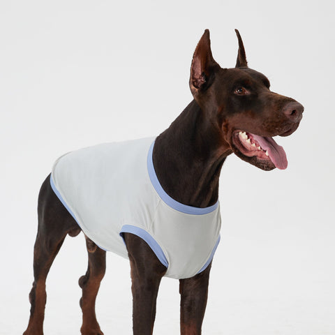 Elastic Ultrathin Dog Cooling T Shirt - Grey