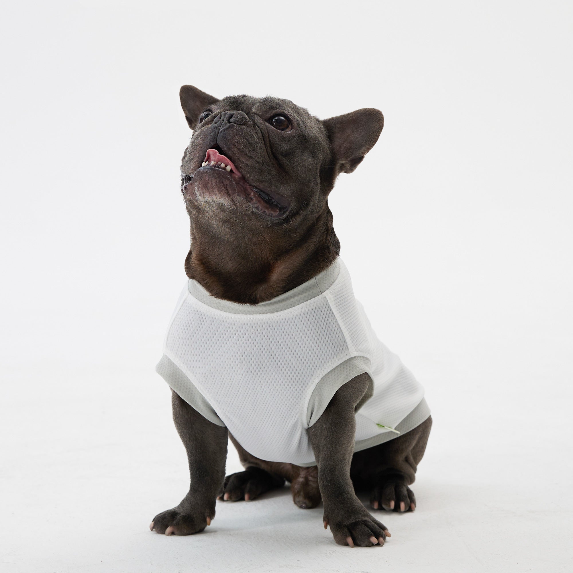 Dog Cooling Vest - White,White