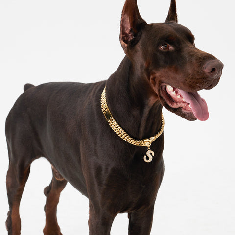 Pupwonders | Cuban Link Chain Dog Collar - Gold,Gold