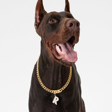 Pupwonders | Cuban Link Chain Dog Collar - Gold,Gold