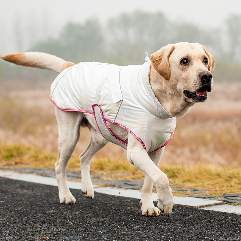 Corgiology | Pet Warmth and Cold-Resistant Cotton Jacket,Pink