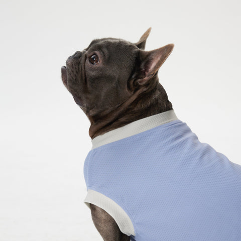 Dog Cooling Vest - Blue,Blue