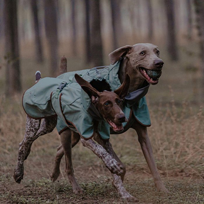 BlackDoggy | Winter Softshell Dog Jacket - Brown,Brown