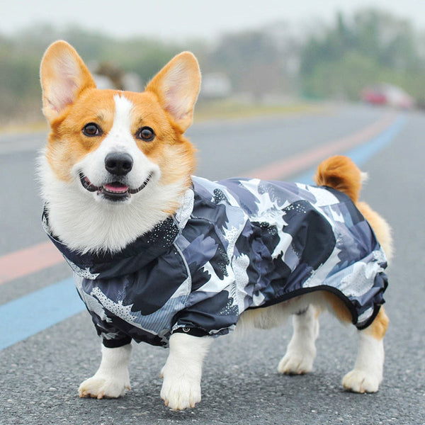 Corgi best sale in raincoat