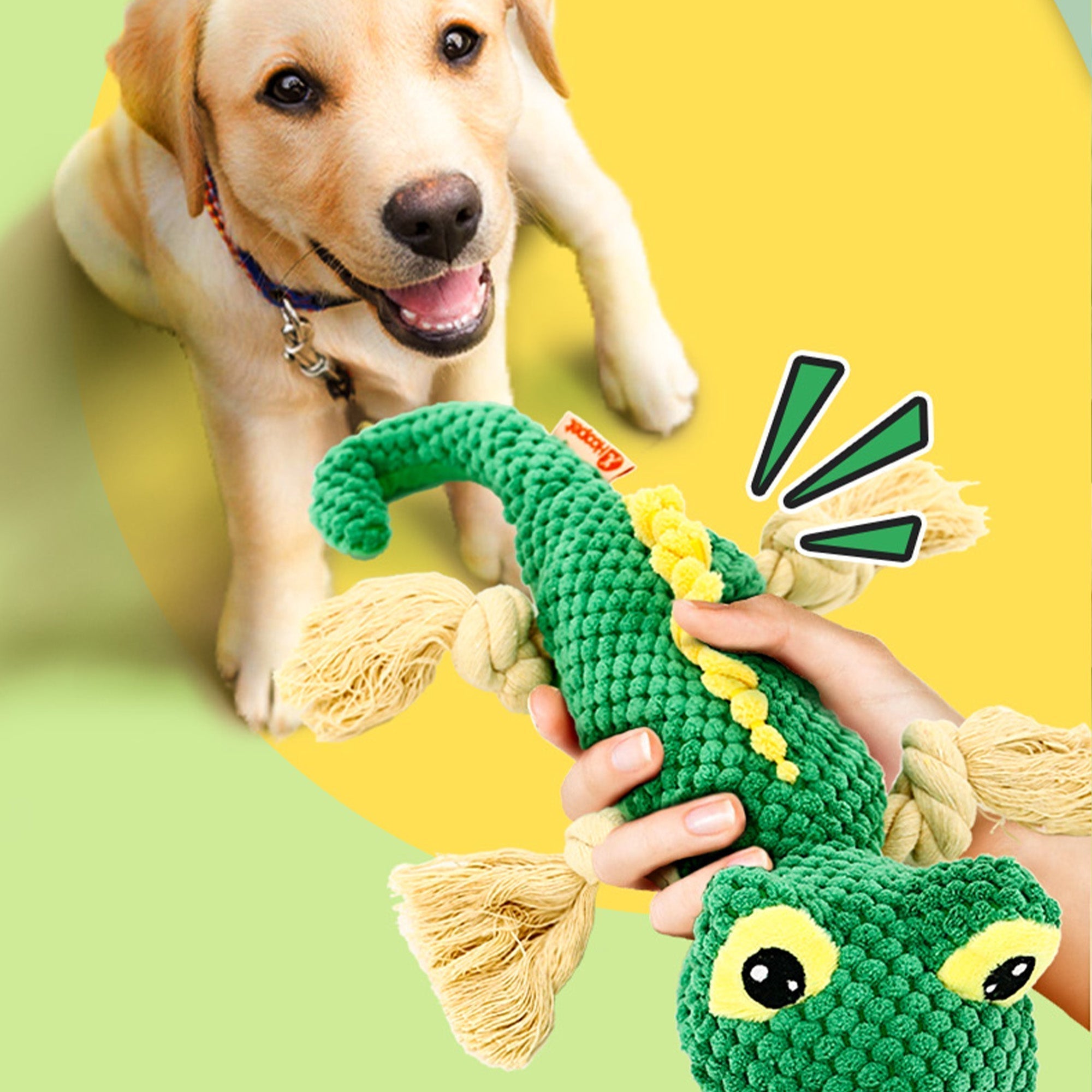 Pupwonders | Dogs Corcotile Squeaky Stuffed Toys
