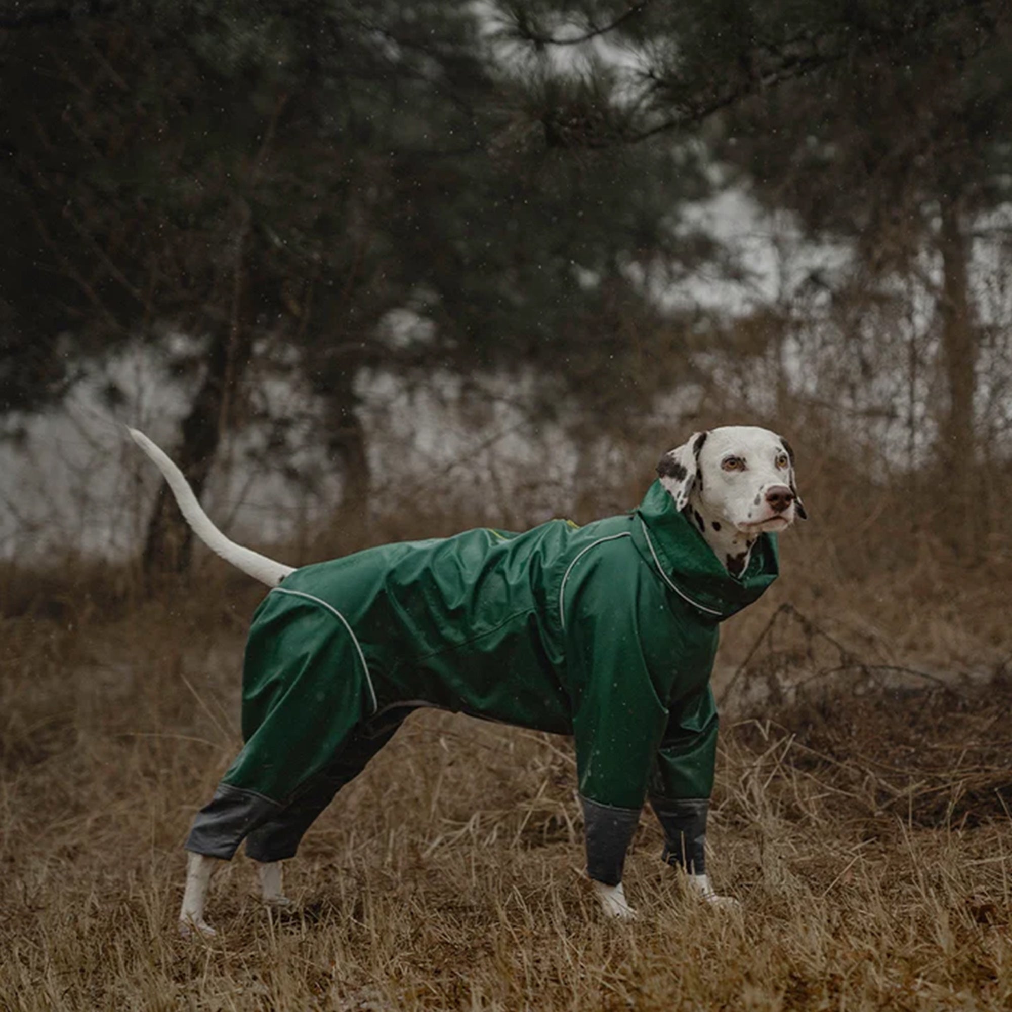 Waterproof Dog Jacket/Coat - Green
