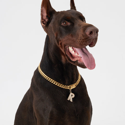 Pupwonders | Cuban Link Chain Dog Collar - Gold,Gold