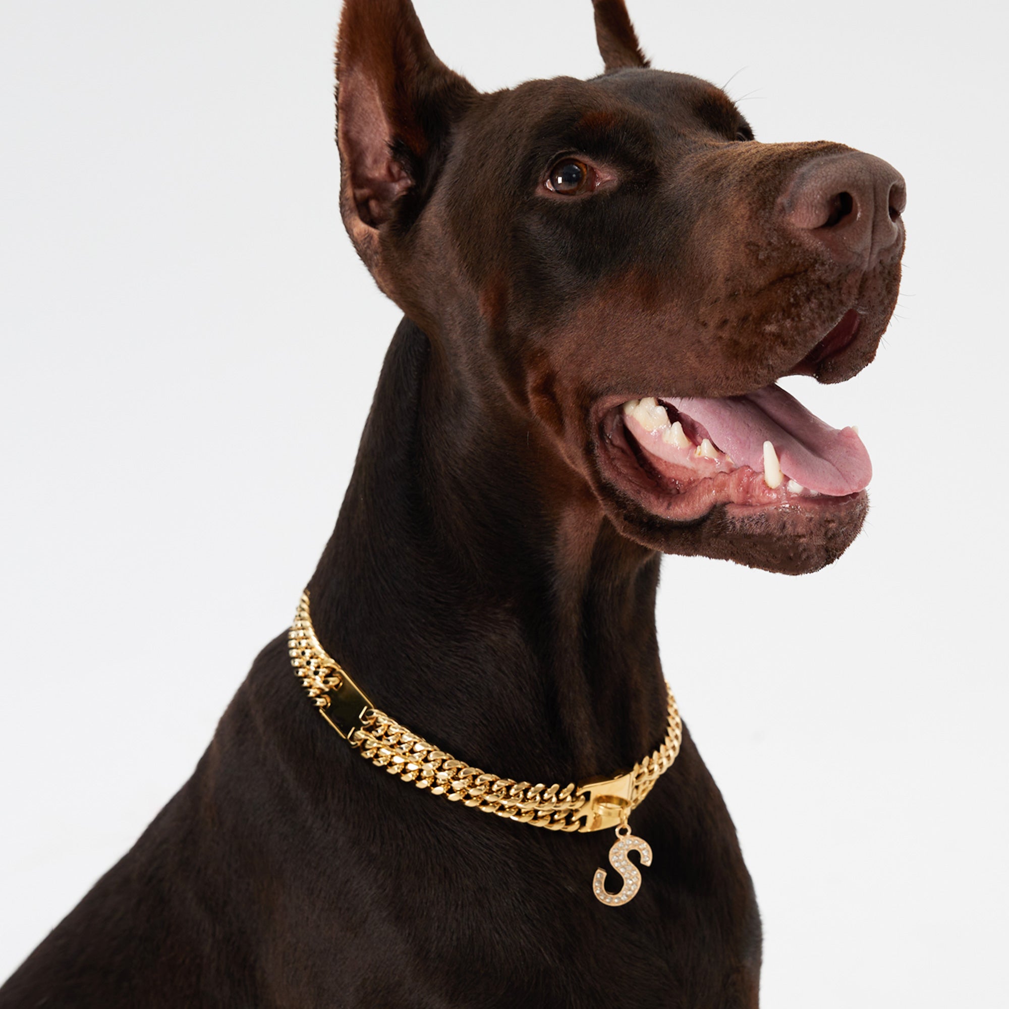 Pupwonders | Cuban Link Chain Dog Collar - Gold,Gold