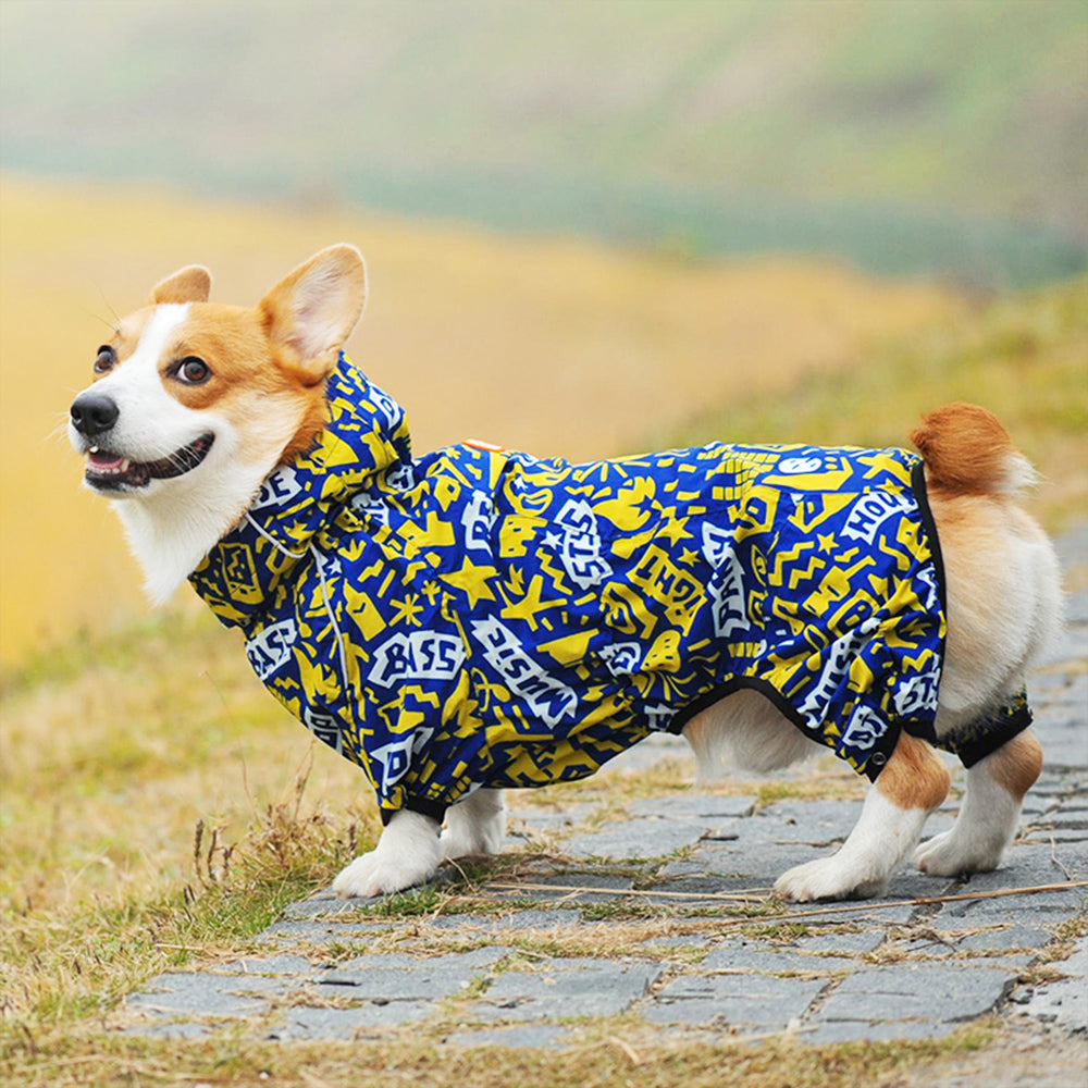 Corgiology | Dog Raincoat for Medium-above Size (For Corgi),Blue