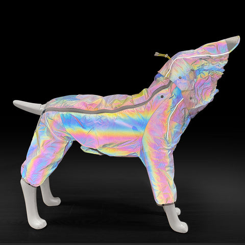 Corgiology| Rainbow Pop Dog Raincoat,Rainbow