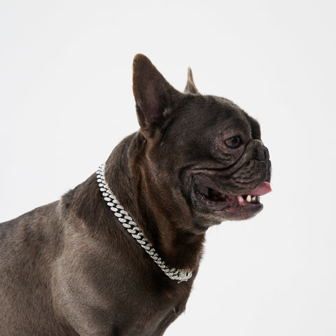 Pupwonders | Cuban Link Chain Dog Collar,Silver