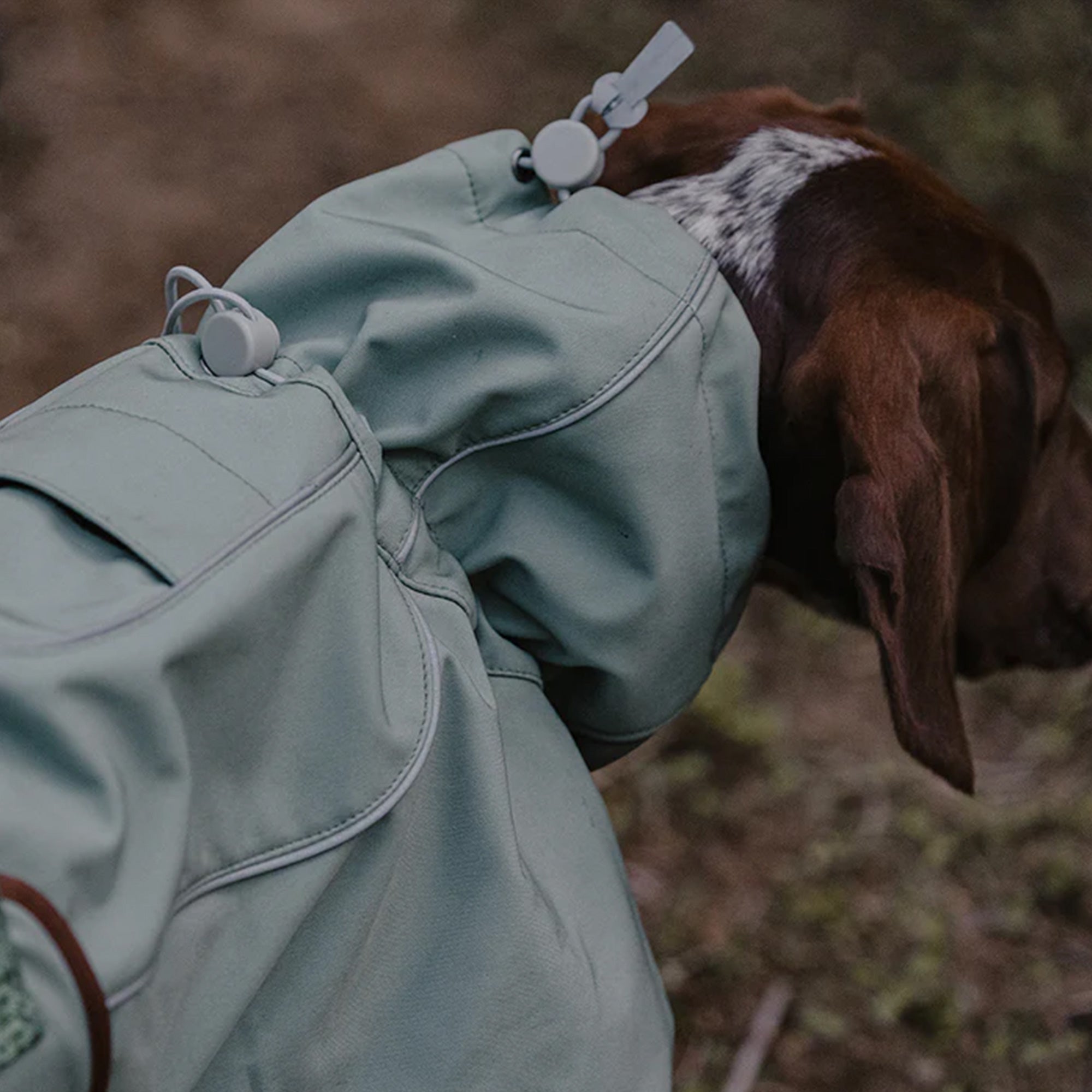 BlackDoggy | Winter Dog Jacket - Green,Green