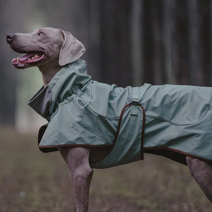 BlackDoggy | Winter Softshell Dog Jacket - Brown,Brown