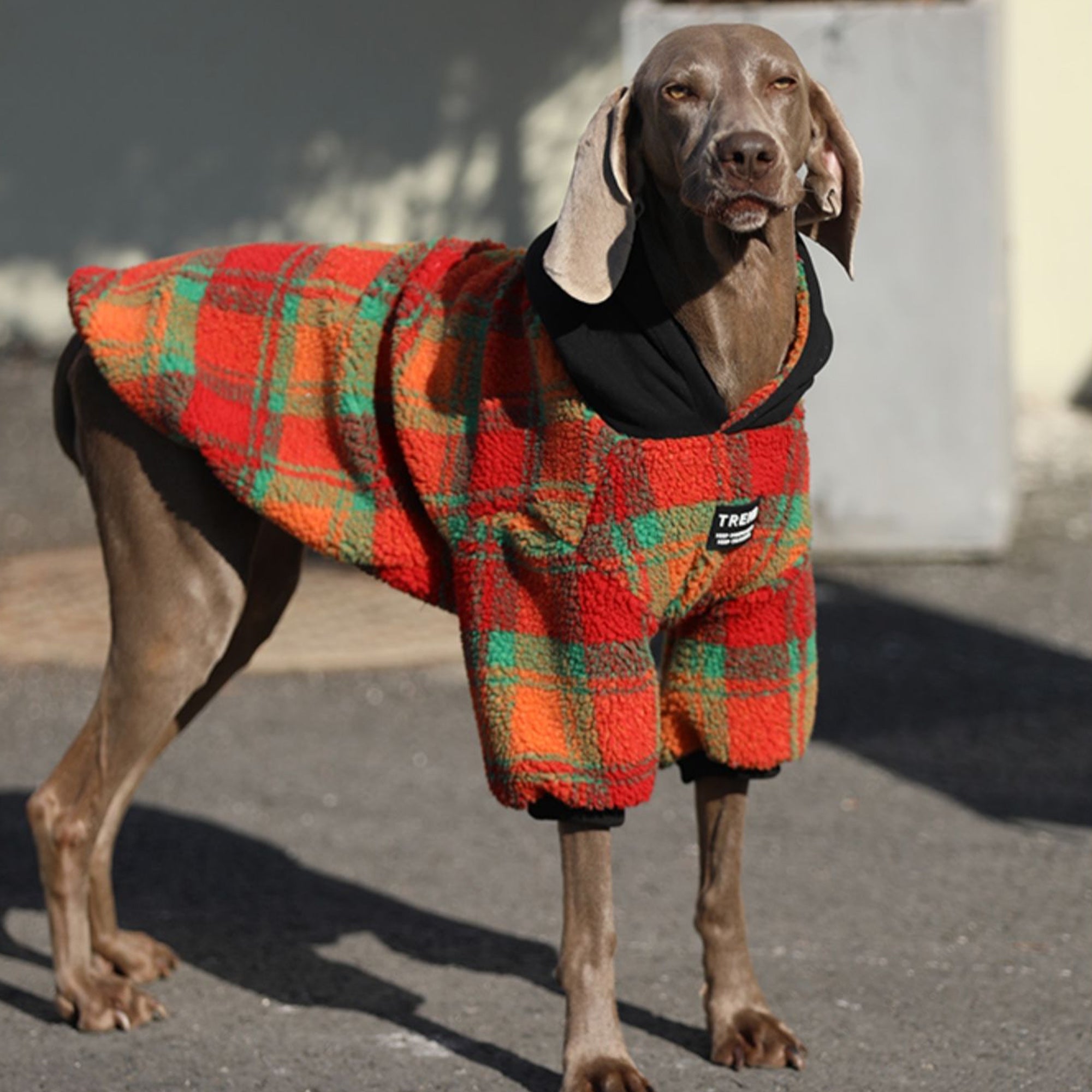 Pupwonders | Thickened Warm Plaid Dog Sweater / Hoodie,Orange