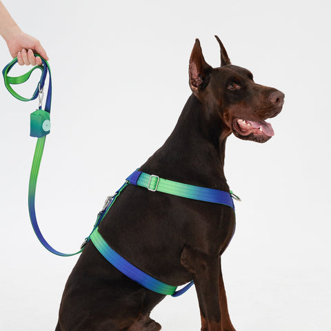 Complete Control Dog Harness - Aurora,Aurora