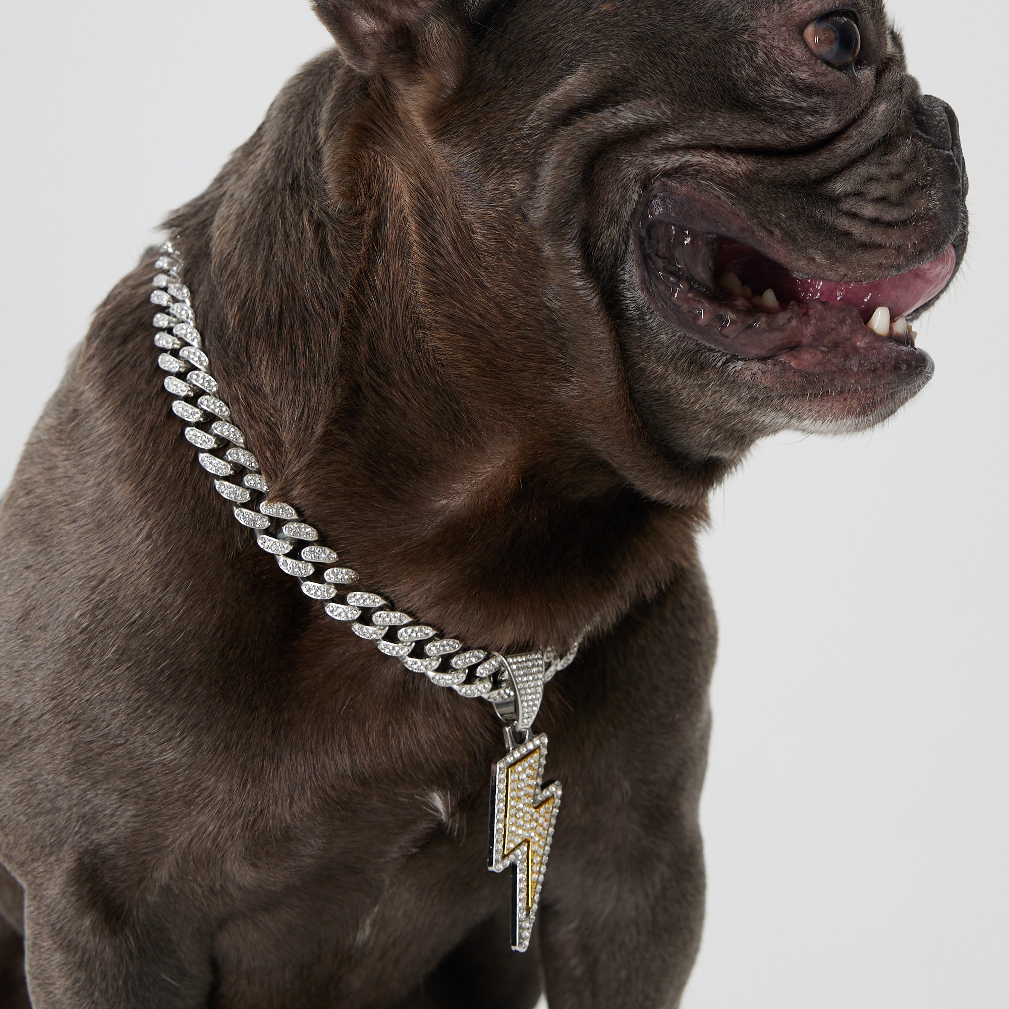 Diamond chain dog collar hotsell