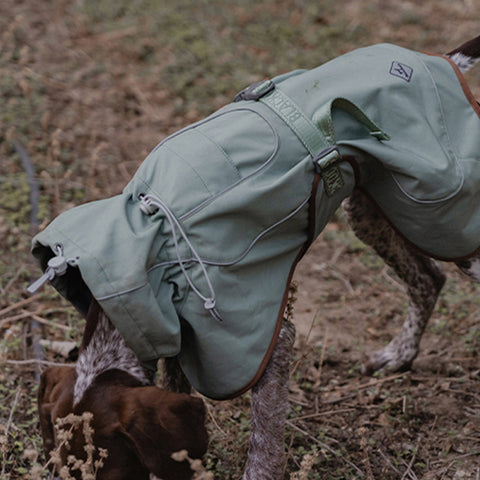 BlackDoggy | Winter Dog Jacket - Green,Green