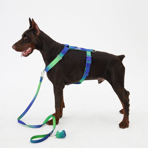 Complete Control Dog Harness - Aurora,Aurora