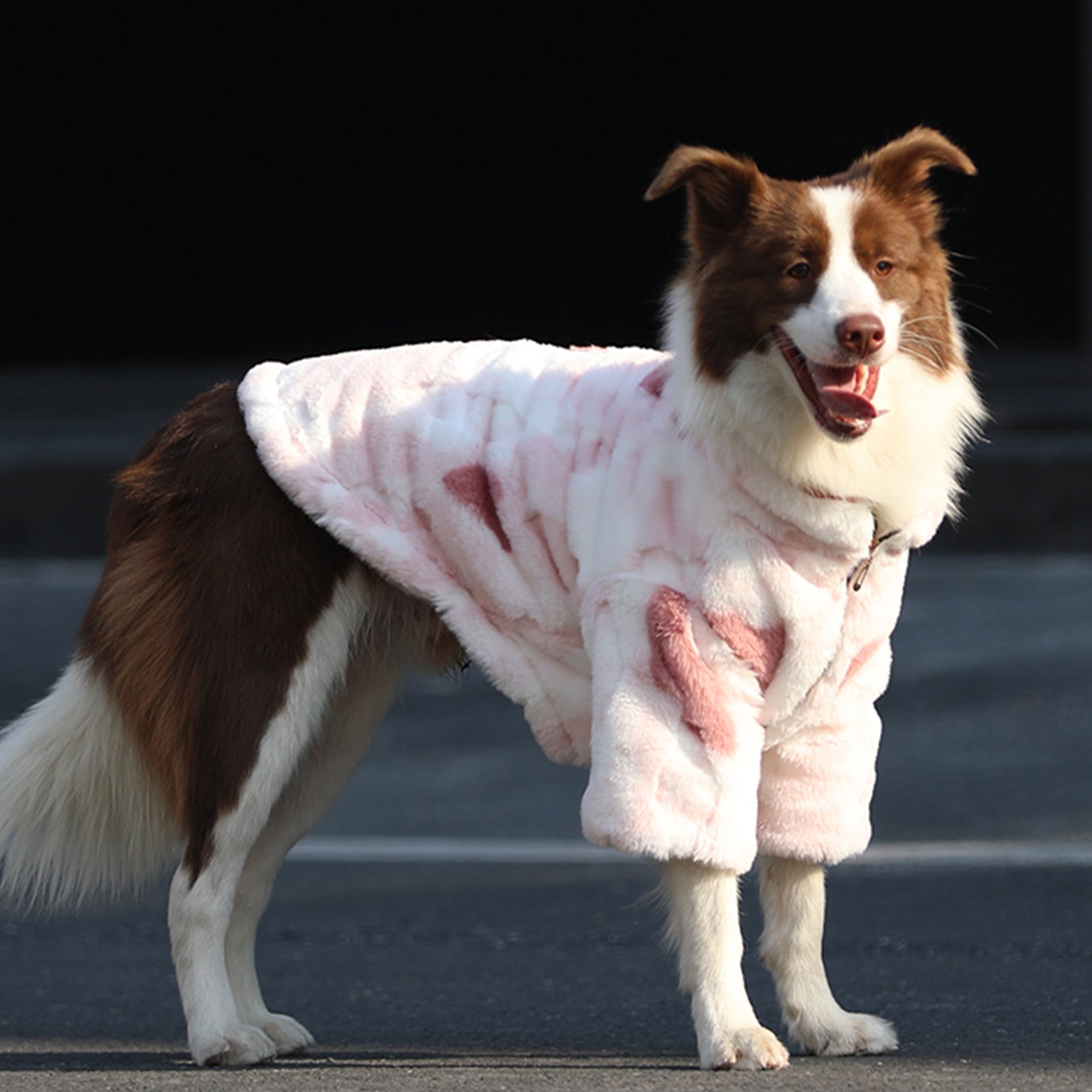 Pupwonders | Ultra-Soft Pink Plush Dog Hoodie,Pink