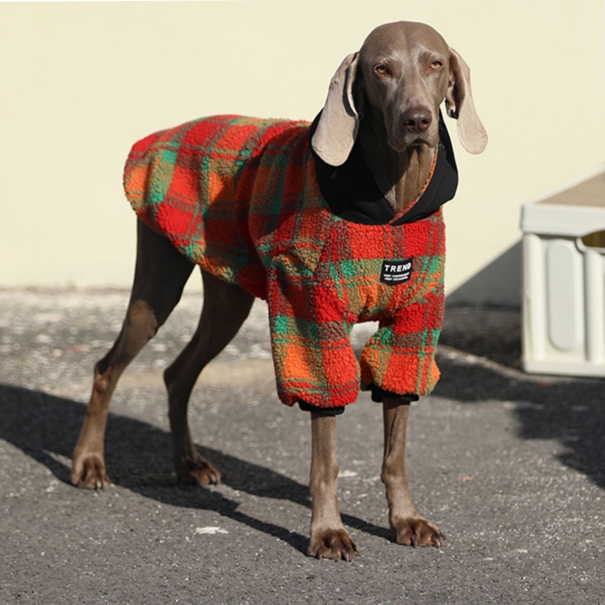 Pupwonders | Thickened Warm Plaid Dog Sweater / Hoodie,Orange