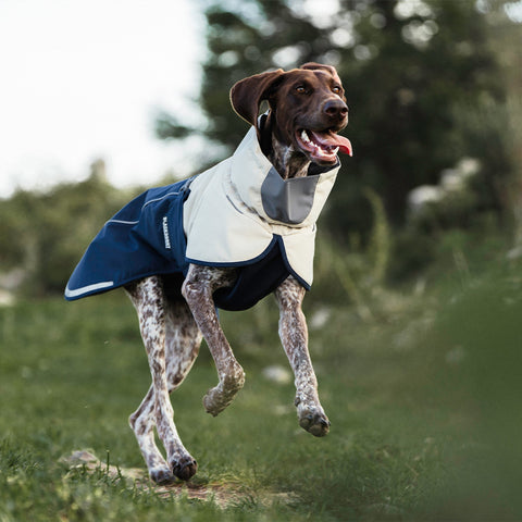 Hardshell Dog Waterproof Jacket - Blue,Blue