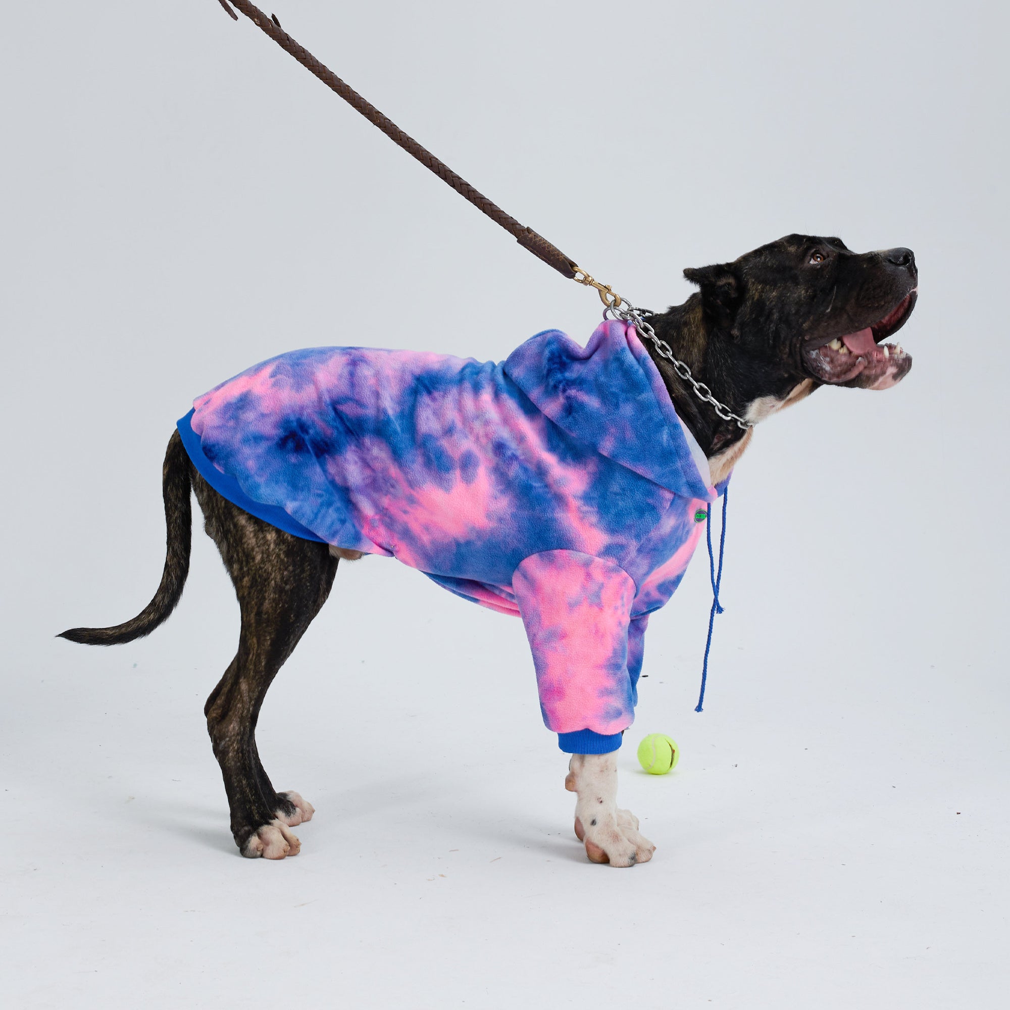 Tie dye 2025 dog sweater