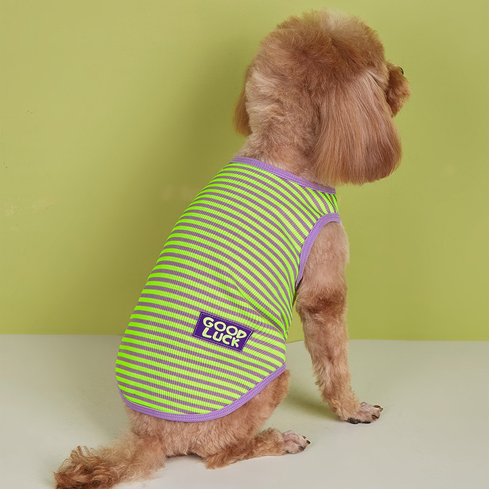 Pupwonders | Good Luck Striped Dog Sweater,Green