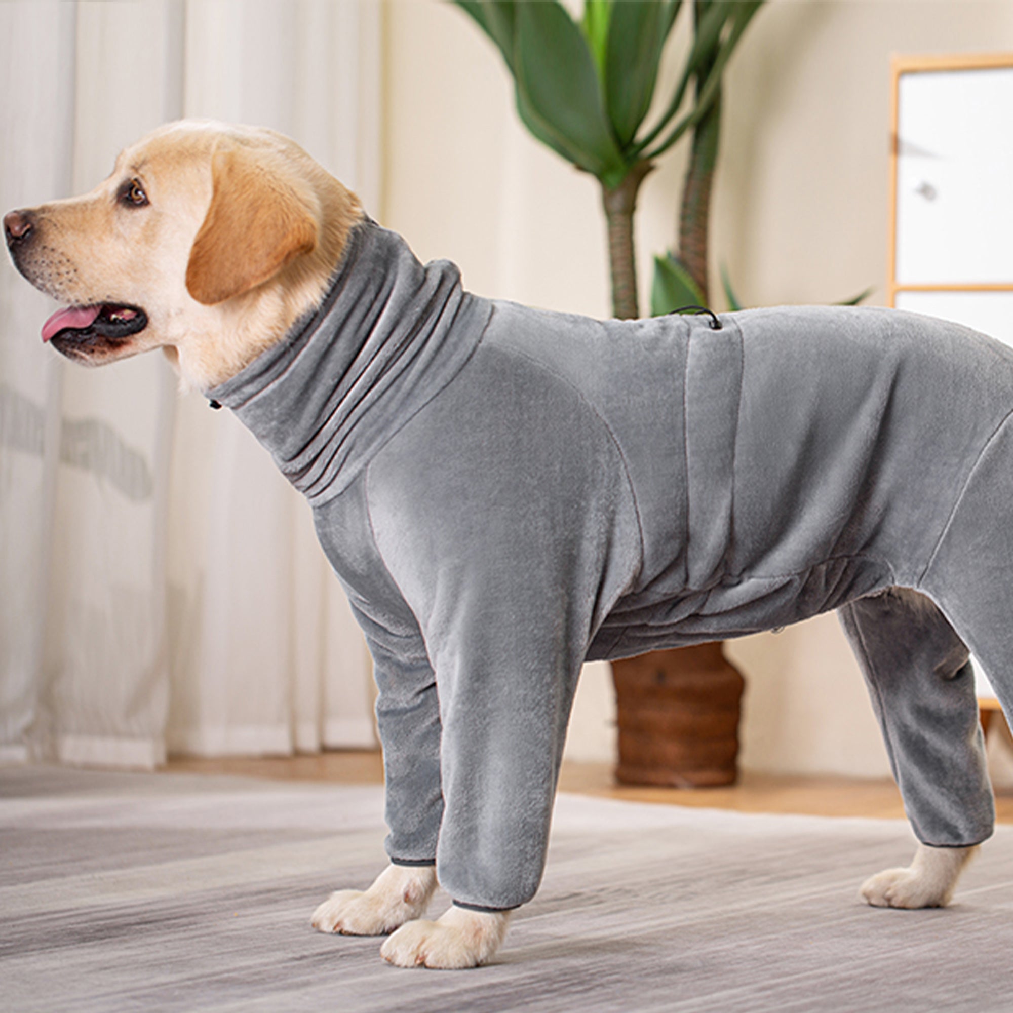 Pupwonders | High-neck Flannel Dog Hoodie,Grey