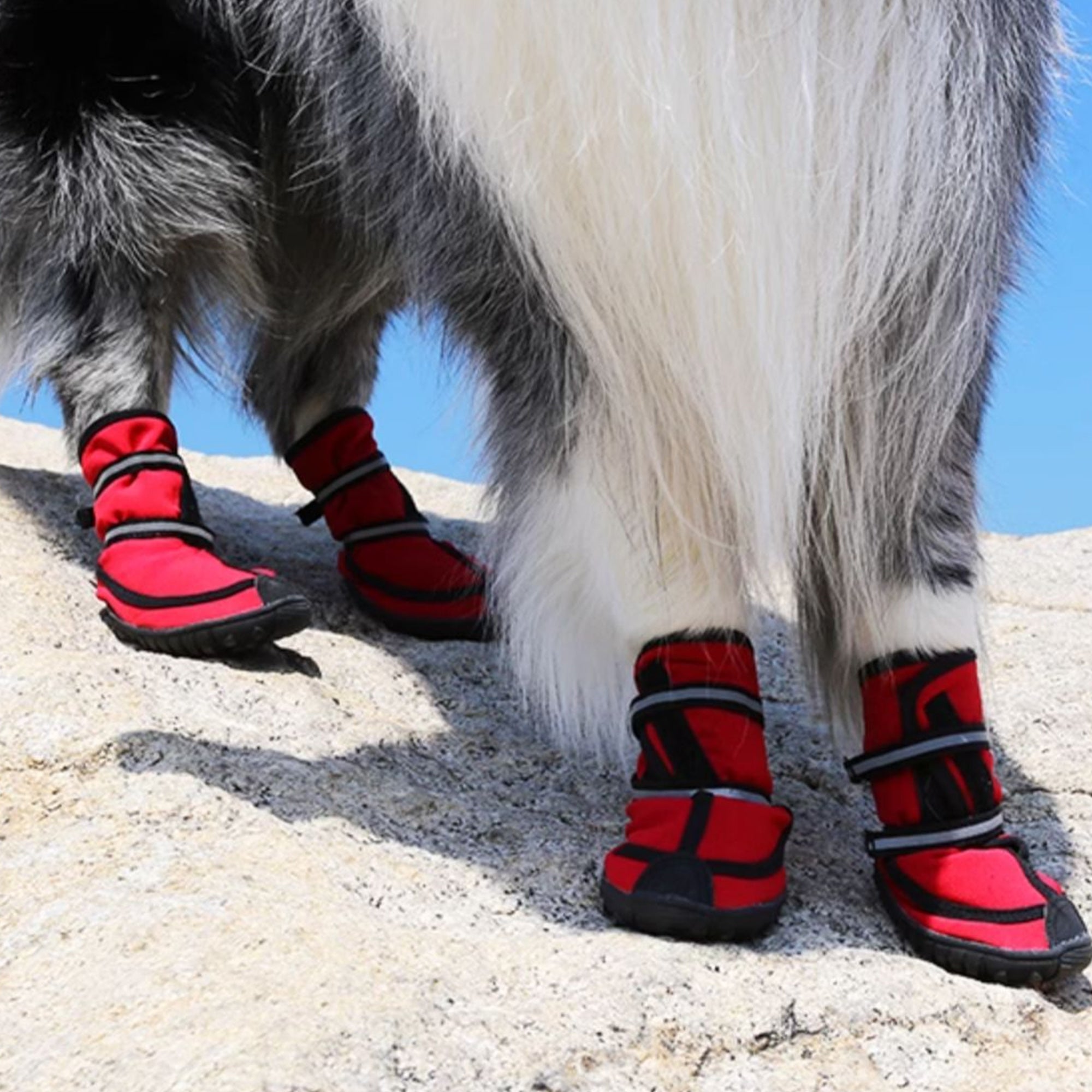 Pupwonders | Waterproof High-Top Dog Boots,Red