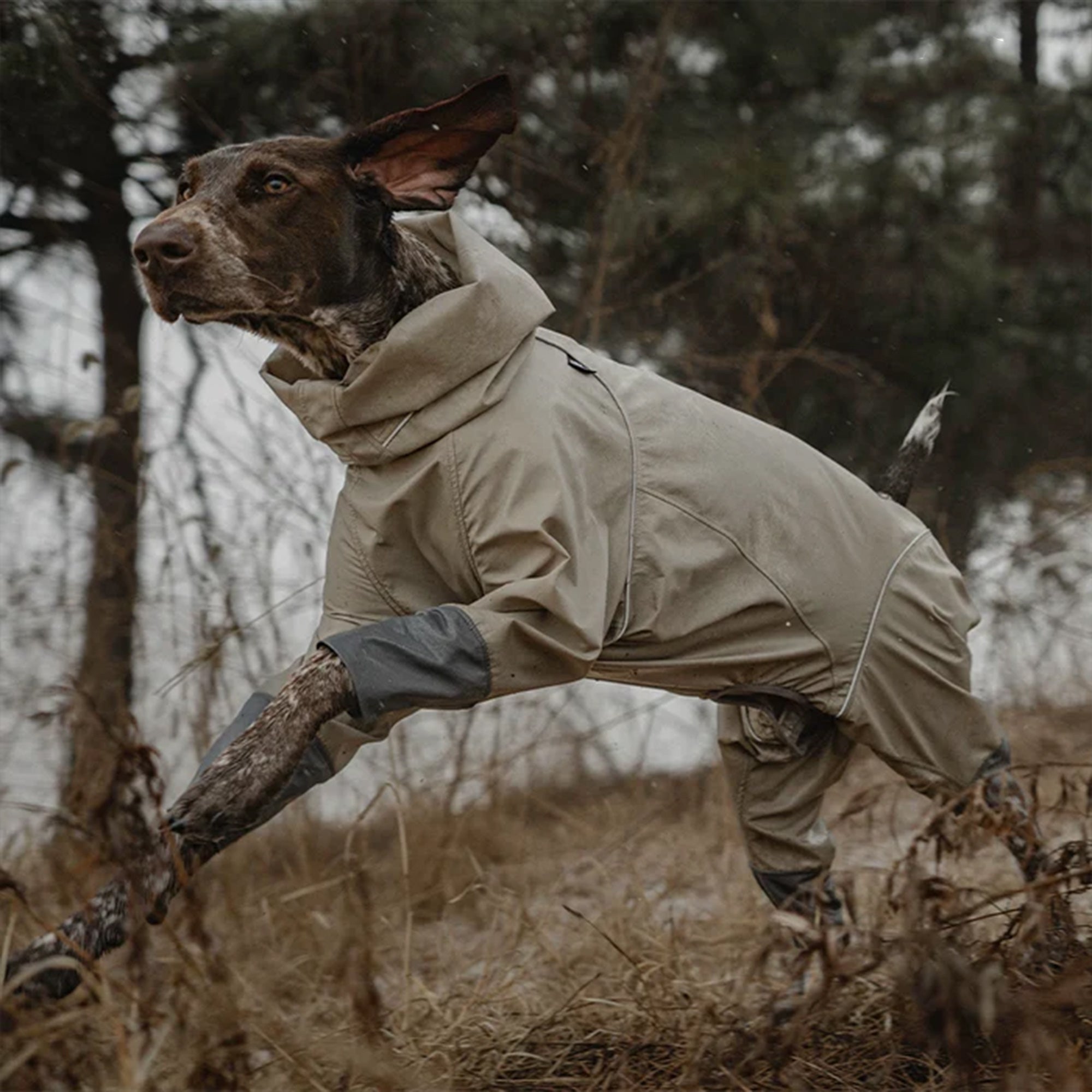 Four Leg Covered Dog Jacket - Grey