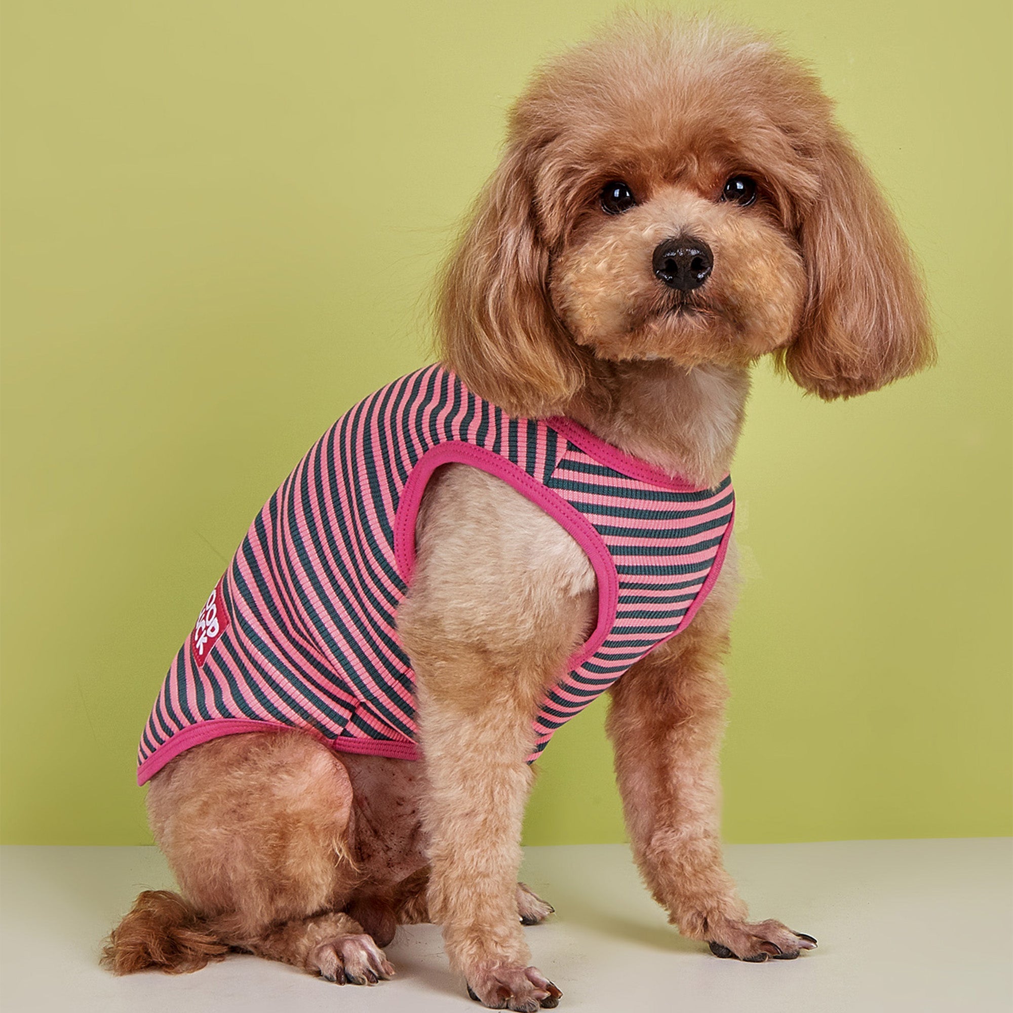 Pupwonders | Good Luck Striped Dog Sweater,Red
