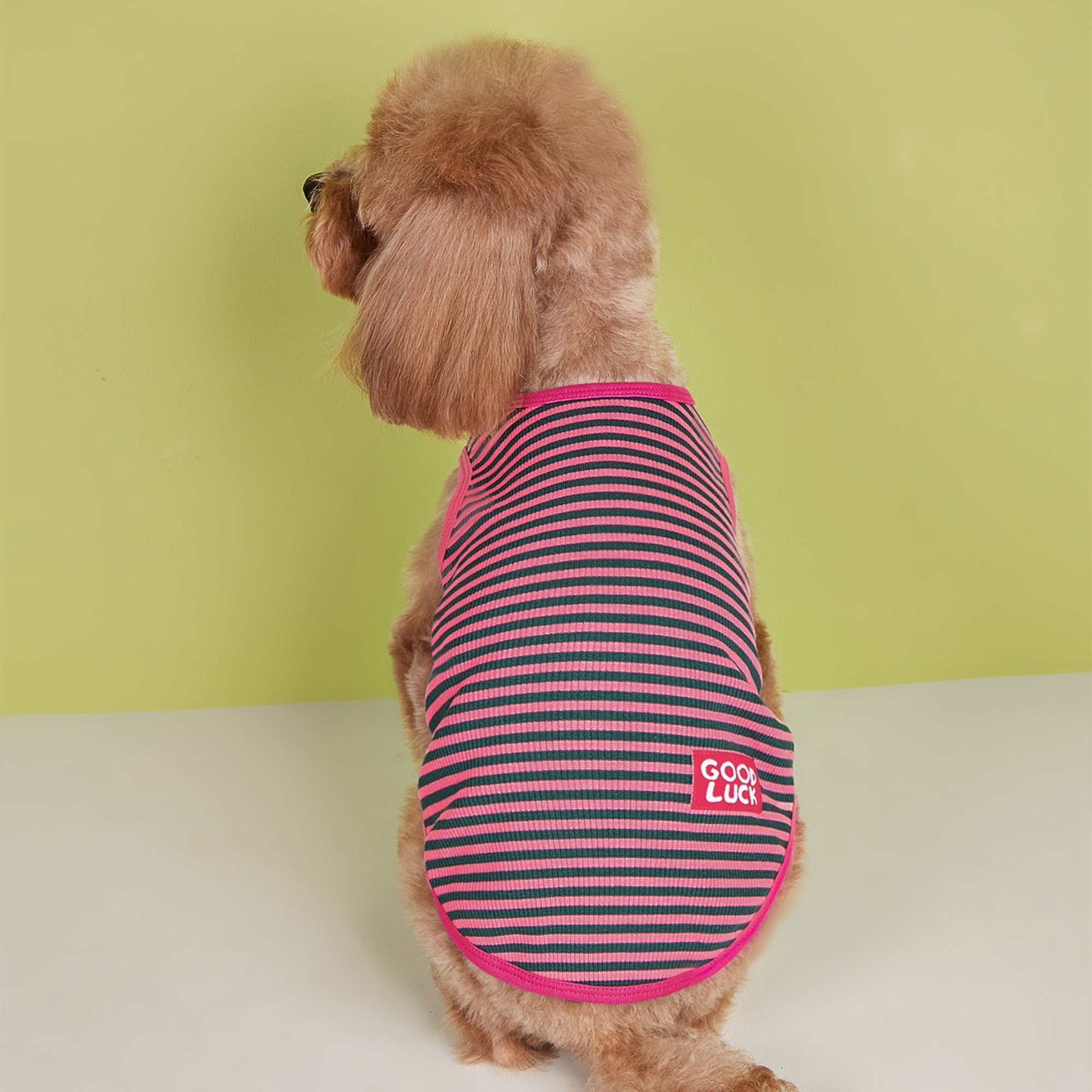 Pupwonders | Good Luck Striped Dog Sweater,Red