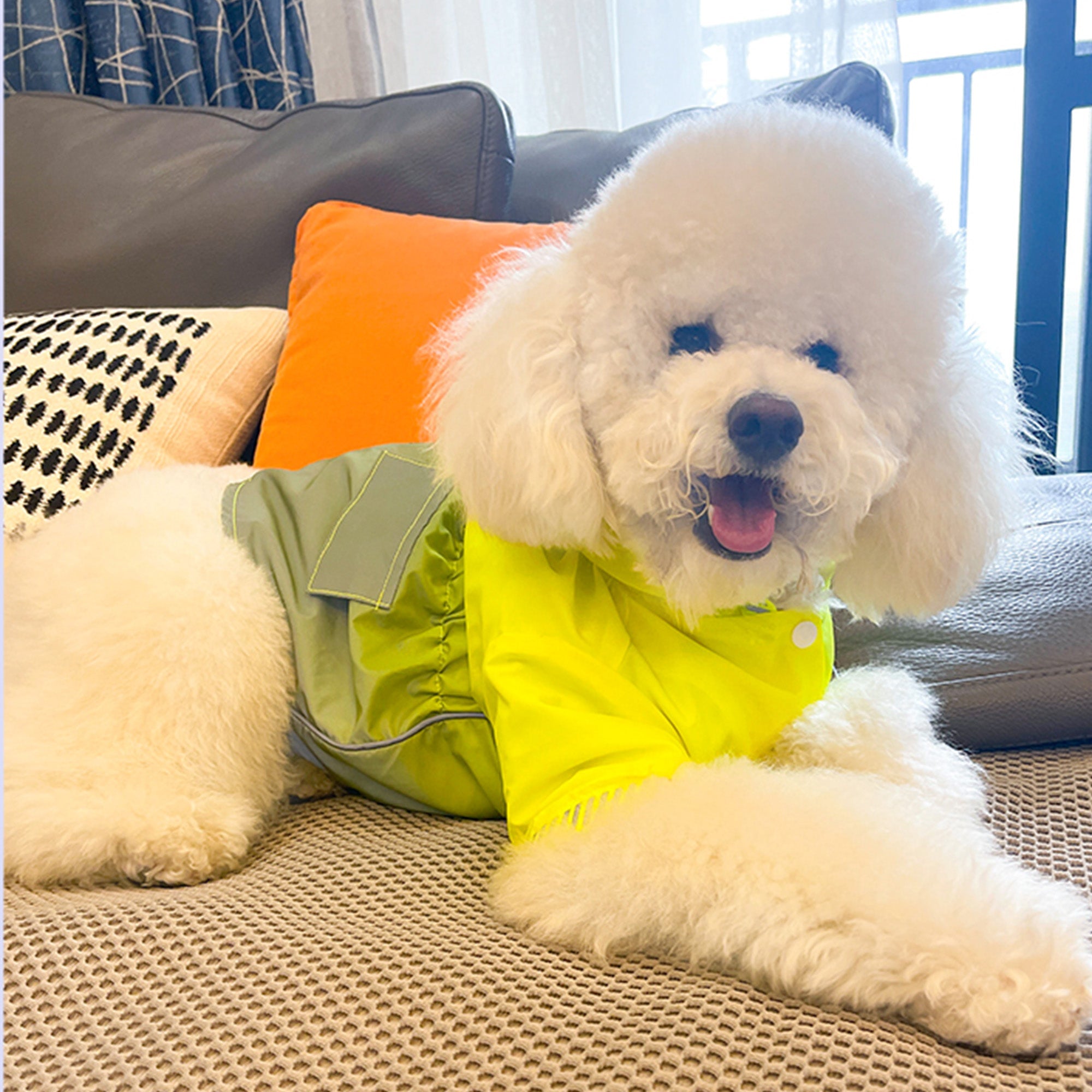 Pupwonders | Fluorescent Gradient Green Dog Jacket