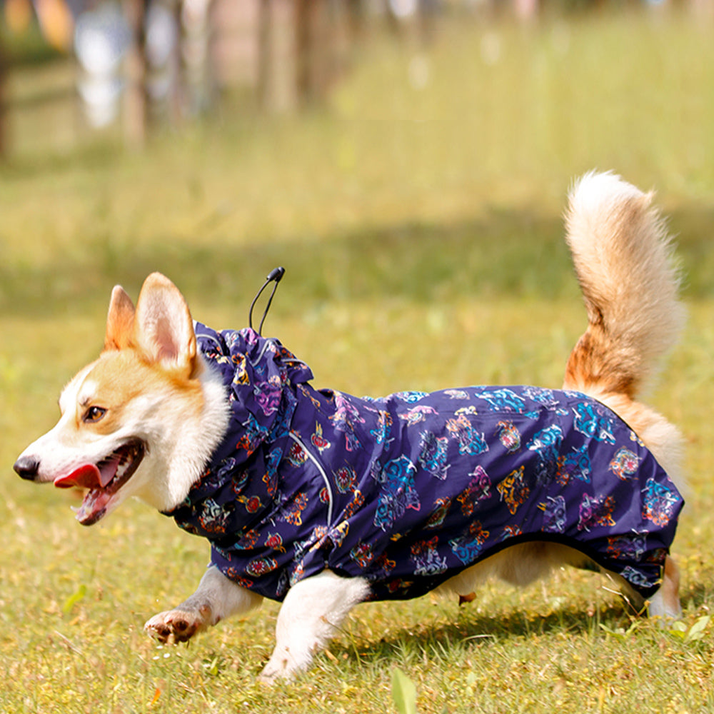 Lion Dance Dog Raincoats (For Corgi)