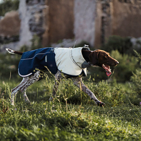 BlackDoggy | Hardshell Dog Waterproof Jacket - Blue,Blue