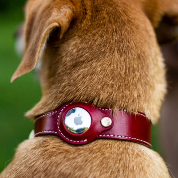 Premium Genuine Leather AirTag Dog Collar,Black,Red,Brown,Green