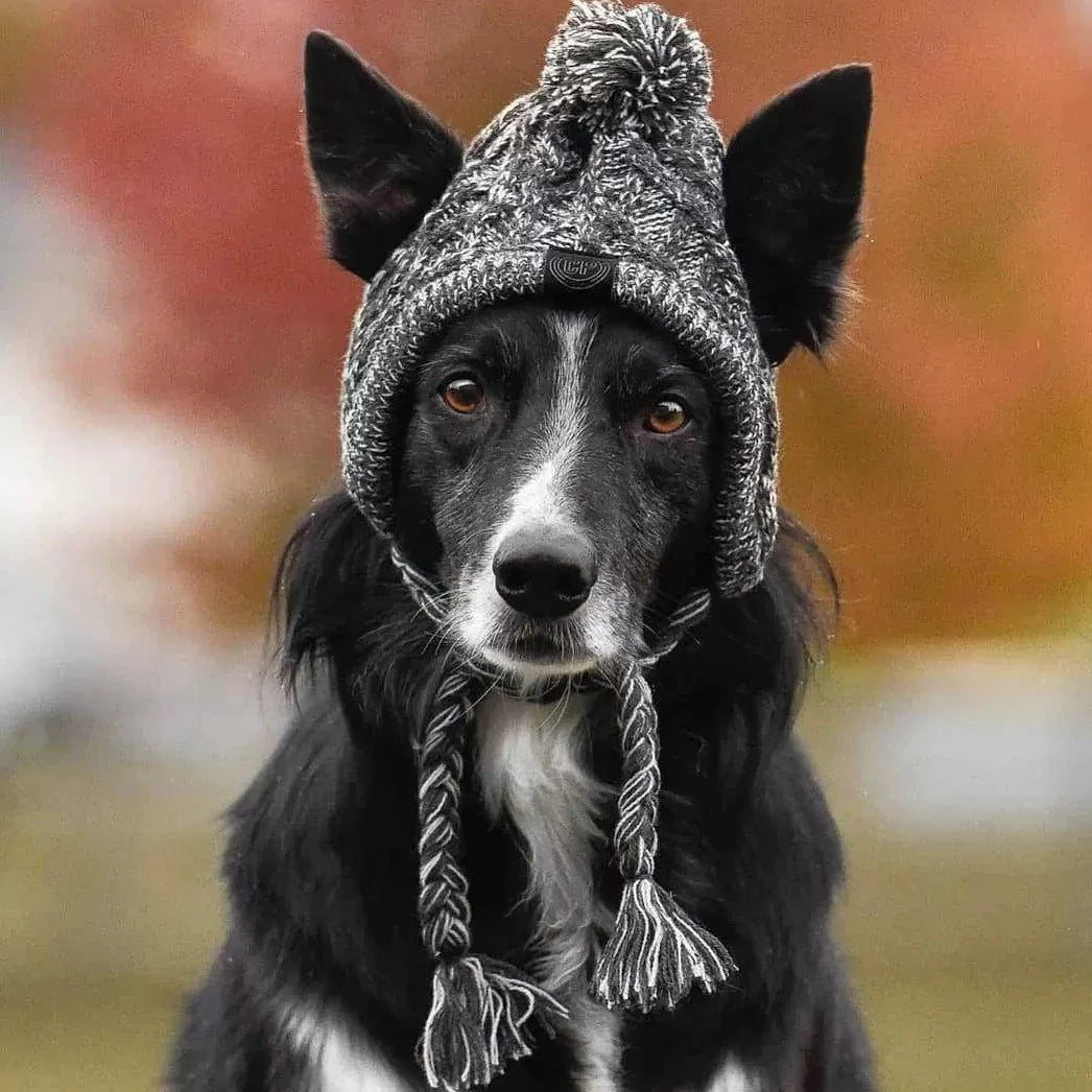 Pupwonders | Charming Canine Pom-Pom Pet Hat