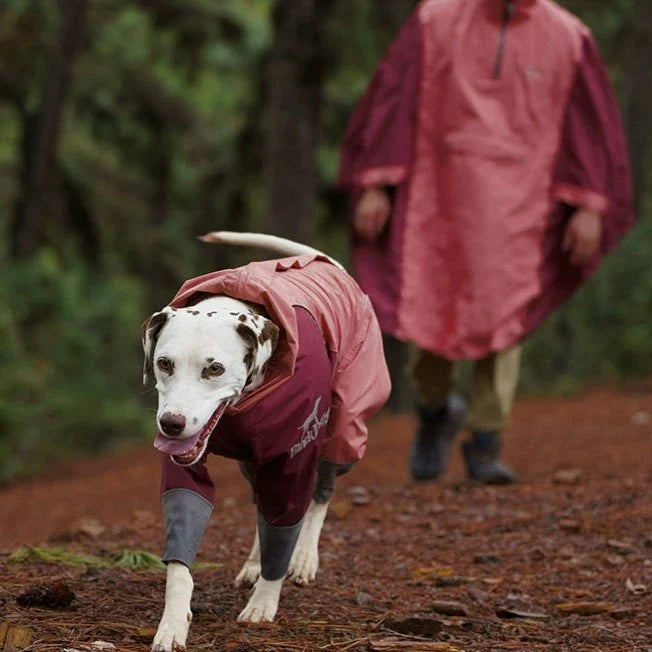 BlackDoggy | Four Leg Covered Dog Raincoat - ,Pink